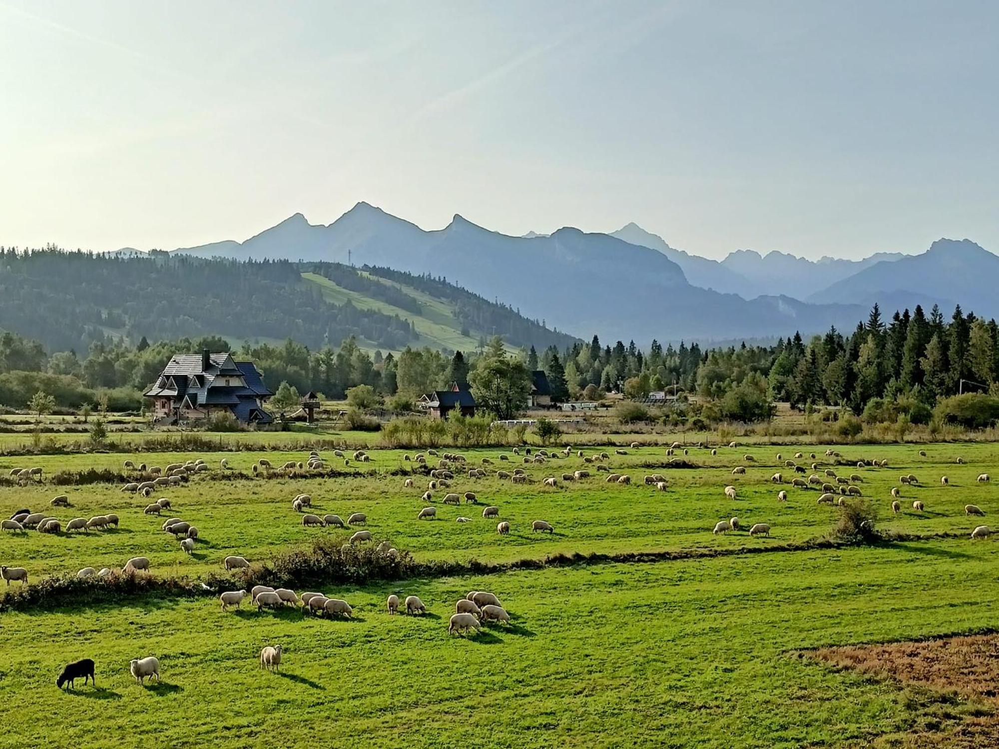 Domek Z Goralska Dusza Sleboda Jurgów Екстериор снимка